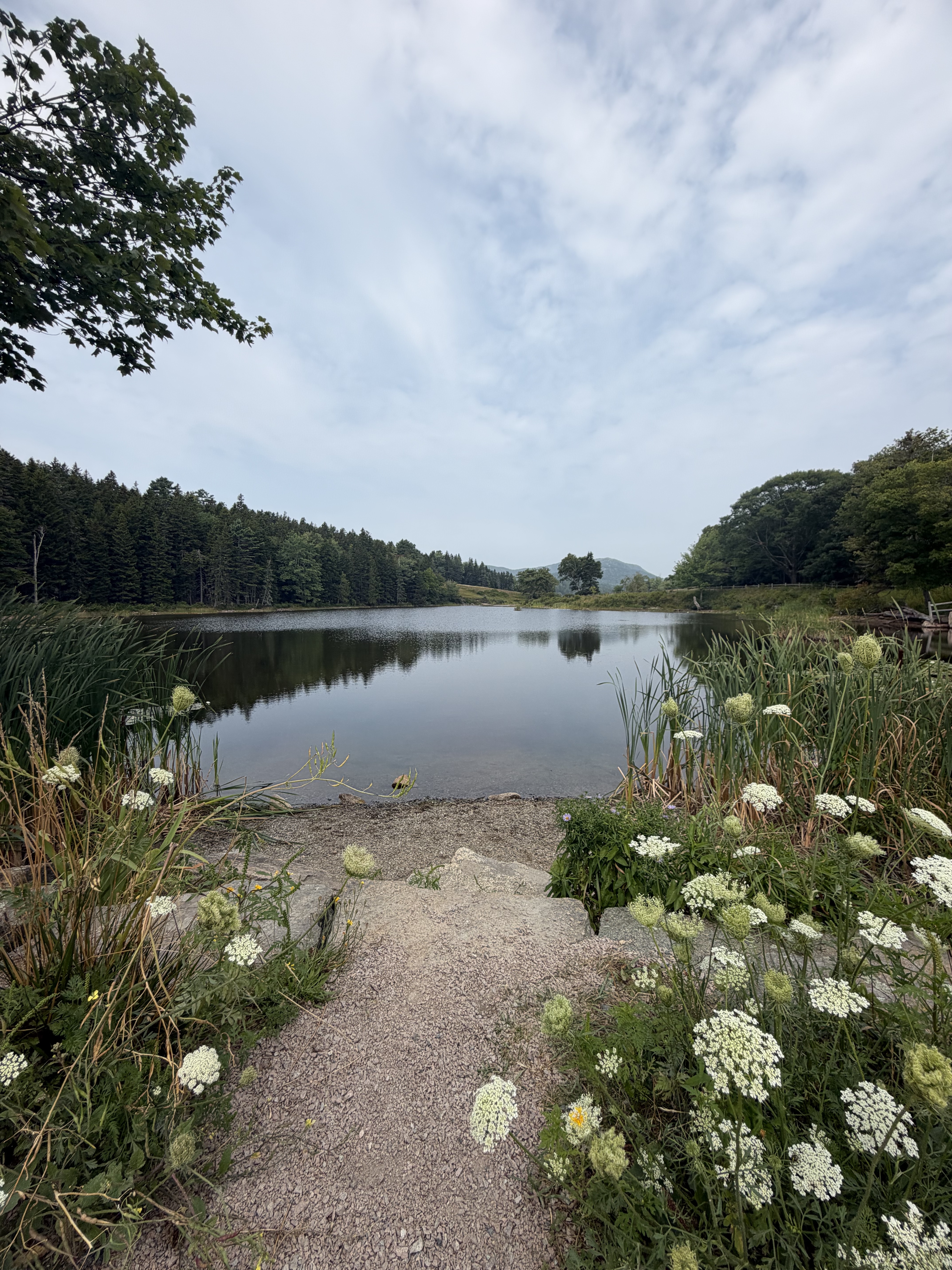long pond nell'acadia national park